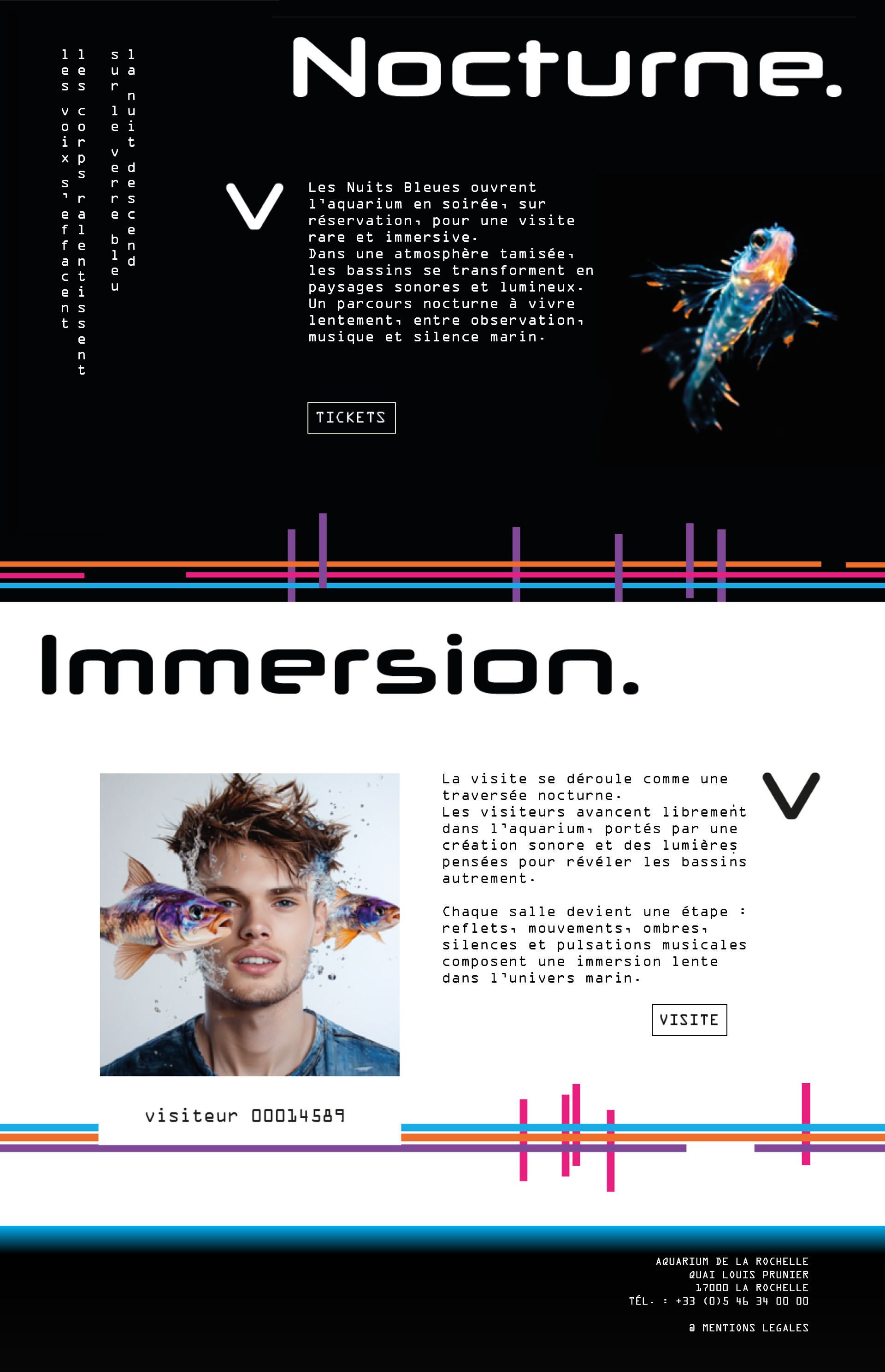 Maquette du site internet Les Nuits Bleues