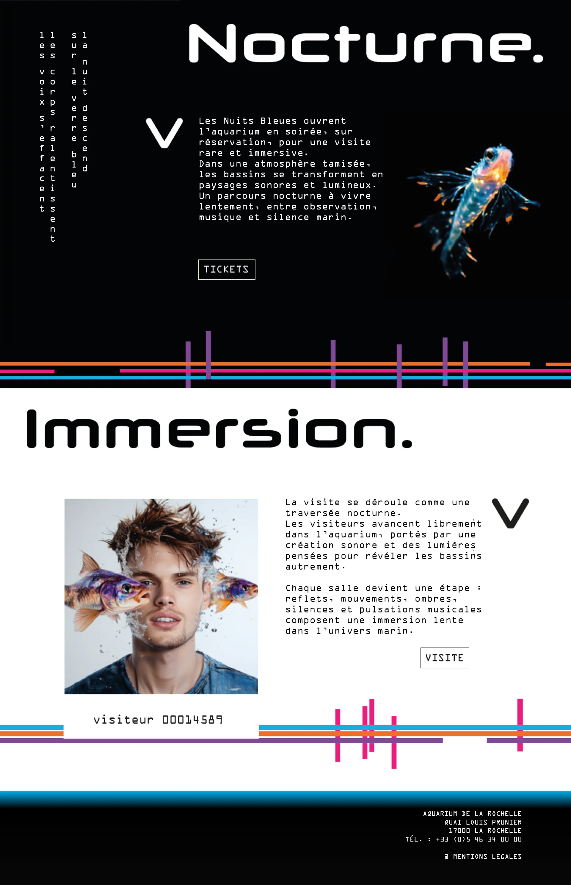 Maquette du site internet Les Nuits Bleues